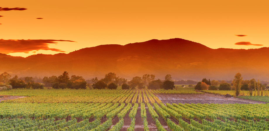 Fields to Markets: Freight Rail’s Deep Roots in Agriculture