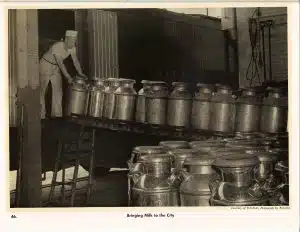 Bringing Milk to the City