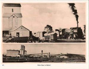 Grain Goes to Market