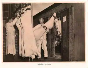 Unloading Fresh Meats